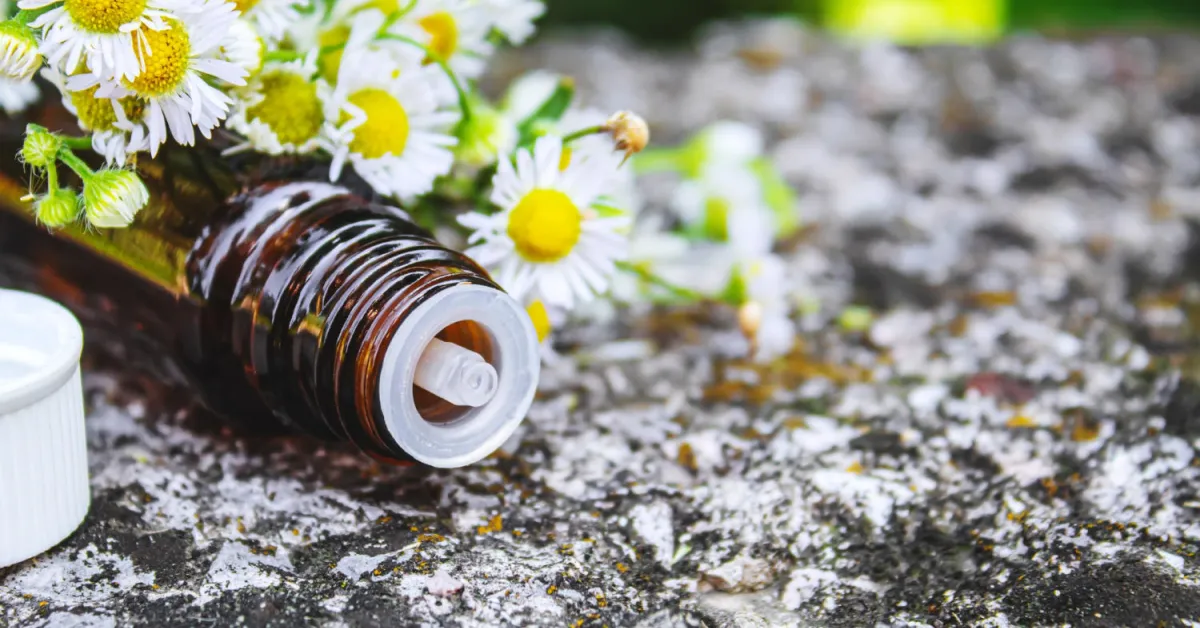 S homeopatijo v boj proti spomladanskim alergijam