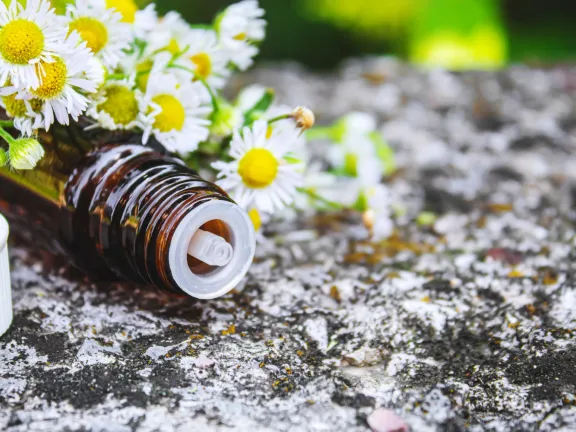 S homeopatijo v boj proti spomladanskim alergijam